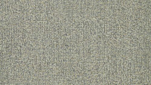 Kauri 312953